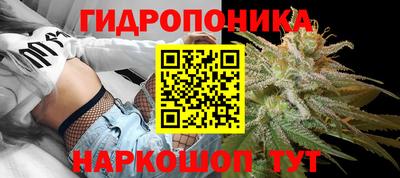 PSILOCYBIN Будённовск